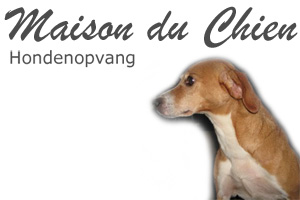 Maison du Chien - Hondenopvang